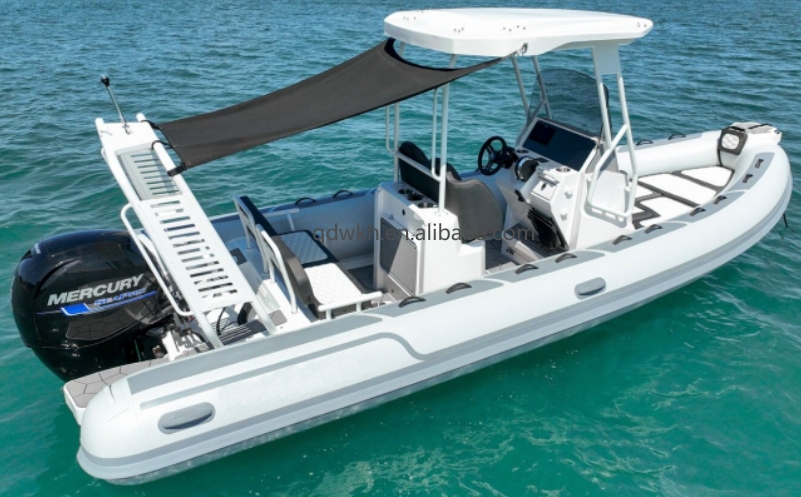 MSCE Certificado Estilo Deport - Fishing Boat Fiberglass reseña y precio